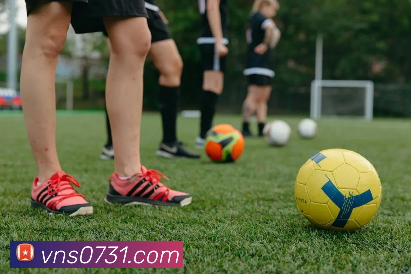 互动解说服务